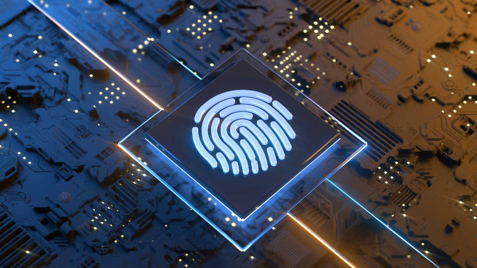 Cybersecurity Specialist