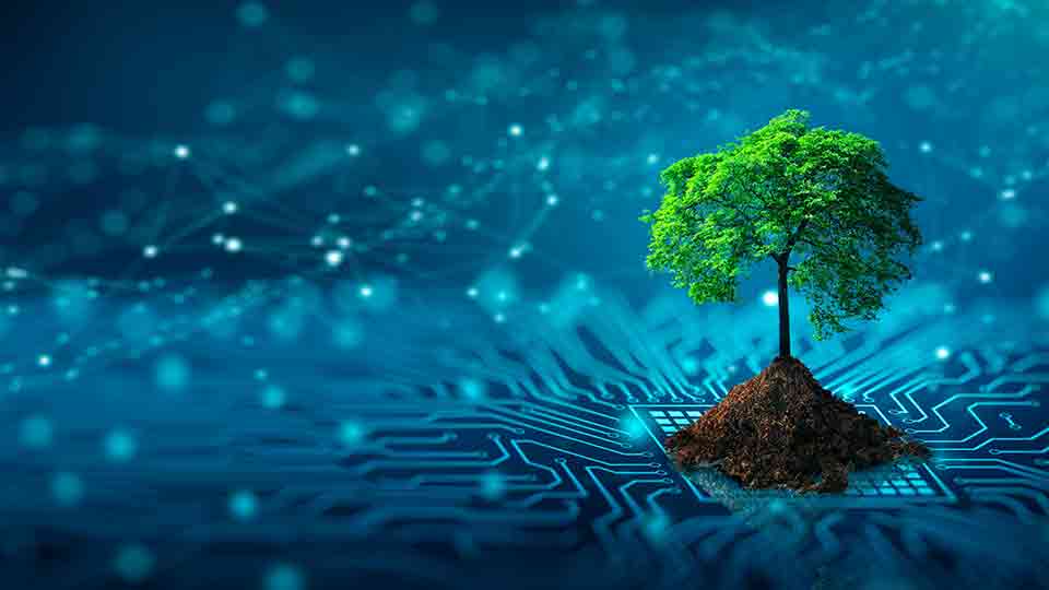 IoT Solutions Architect